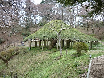 P1020874.jpg