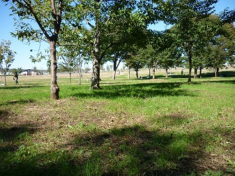 P1050155.jpg