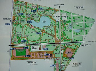 P1050156.jpg