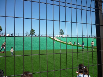 P1050159.jpg