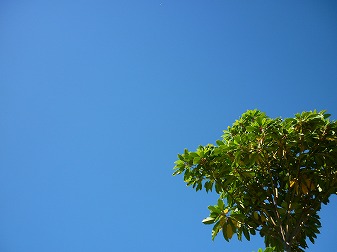 P1050162.jpg