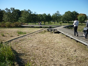 P1050166.jpg
