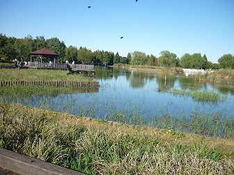 P1050169.jpg