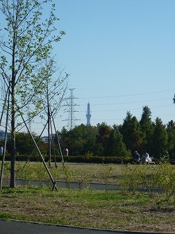 P1050170.jpg