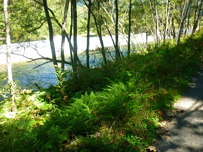 P1110712.jpg