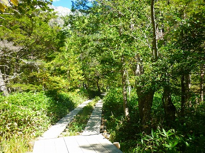 P1110730.jpg