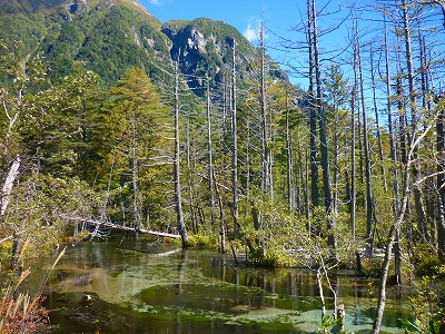 P1110731.jpg