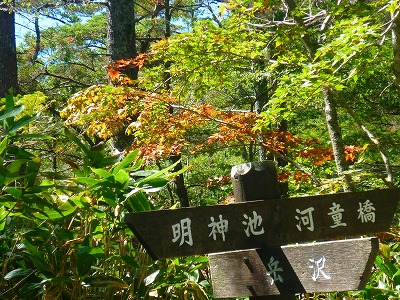 P1110736.jpg