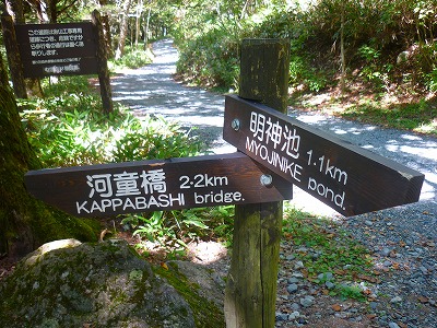 P1110746.jpg