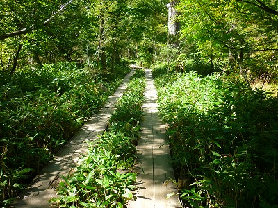 P1110753.jpg