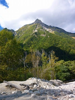 P1110794.jpg