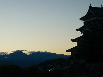 P1110834.jpg