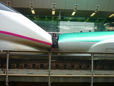 P1140144.jpg