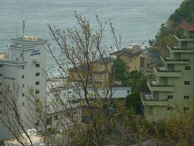 P1140174.jpg