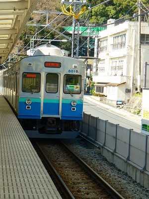 P1140317.jpg