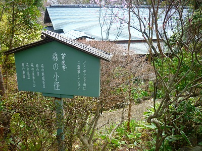 P1140363.jpg