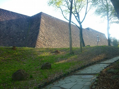 P1220154.jpg