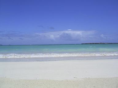 R4010608.JPG